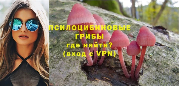 мяу мяу мука Абдулино